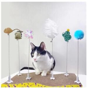 6PCS Cat Wand Toy & Scratcher Plug-ins - Cat Fun Themselves Play Toy